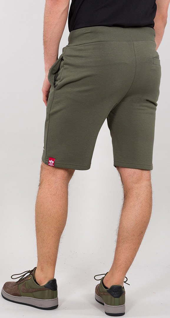 Alpha Industries Big Letters Shorts Grøn M Figur 2