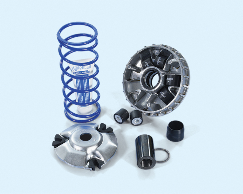 POLINI Variator Figura 2