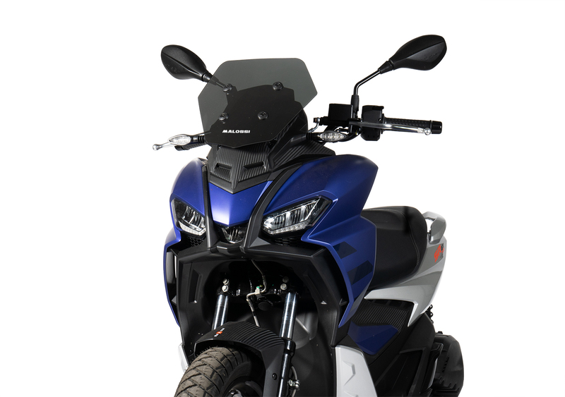 MALOSSI Figura 4