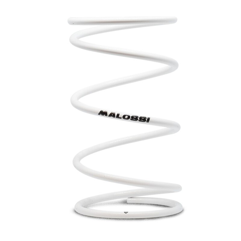 MALOSSI Heavy-duty Compression Spring Figure 1