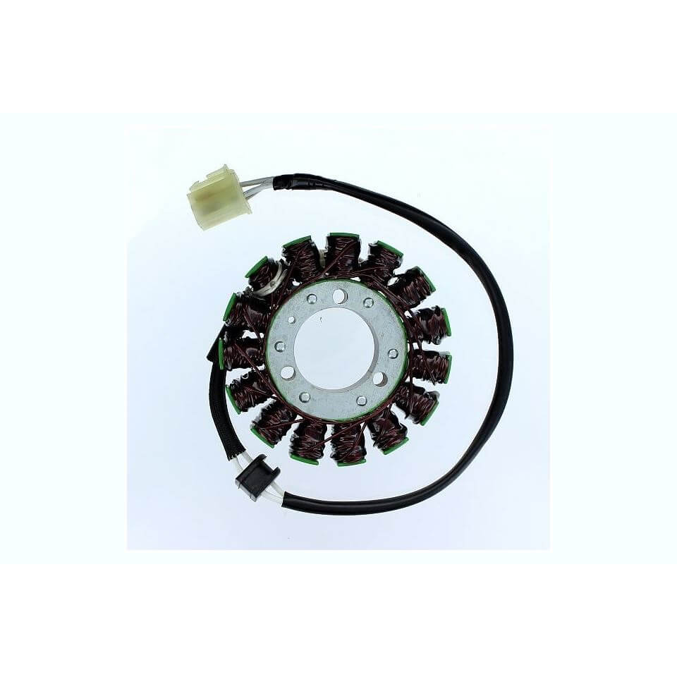 ElectroSport Stator ESG305 für Lichtmaschine Figura 1