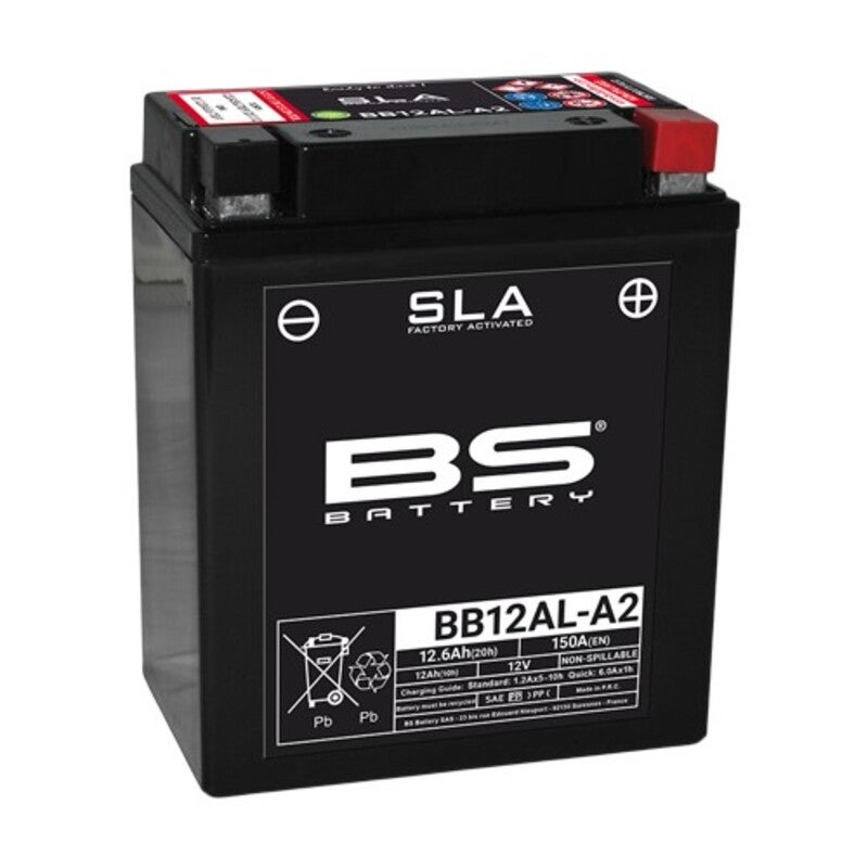 BS Battery In de fabriek geactiveerde onderhoudsvrije SLA-batterij - BB12AL-A2 Figuur 1