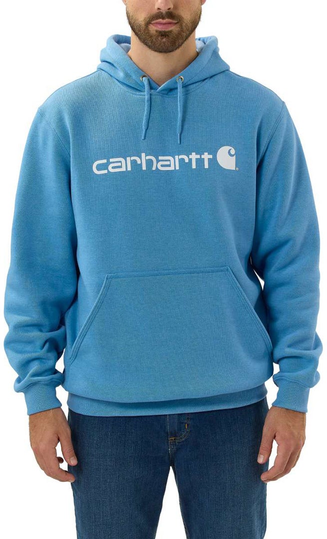 Carhartt Signature Logo Midweight Capuche bleu/blanc M Figure 3