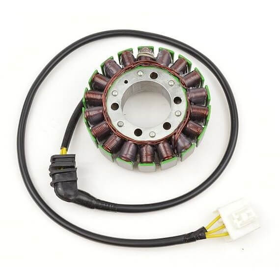 ElectroSport Stator ESG531 für Lichtmaschine Figura 1