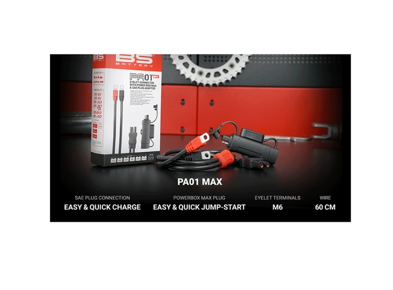 BS Battery Öglkontakt PA01 MAX Figur 6
