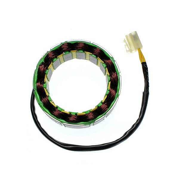 ElectroSport Stator ESG81 für Lichtmaschine Figura 1