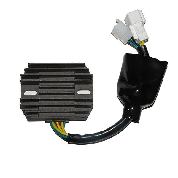 ElectroSport Laderegler ESR 691 Figura 1