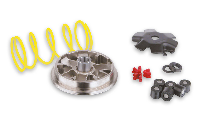 MALOSSI Multivar Variator Figura 1