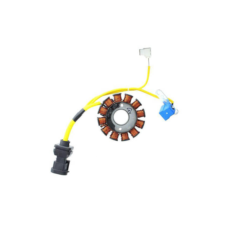 ElectroSport Lichtmaschinenstator ESG194 Figura 1