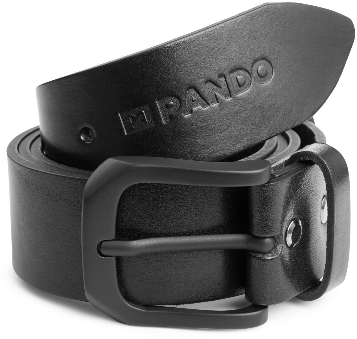 Pando Moto Himo 3 Figura 1