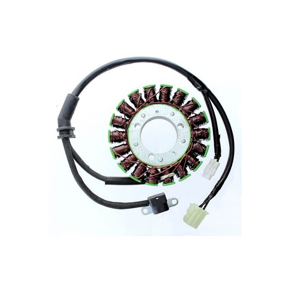 ElectroSport Stator ESG968 für Lichtmaschine Figura 1