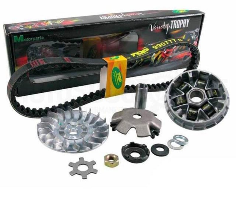 PRINCIPAIS APRESENTAÇÕES TOP PERFORMANCE Variotop "TPR" GP Com Cinto Para Minarelli/Yamaha Vertical/Horizontal Cárter Longo - Pesos Ø16 Figura 3