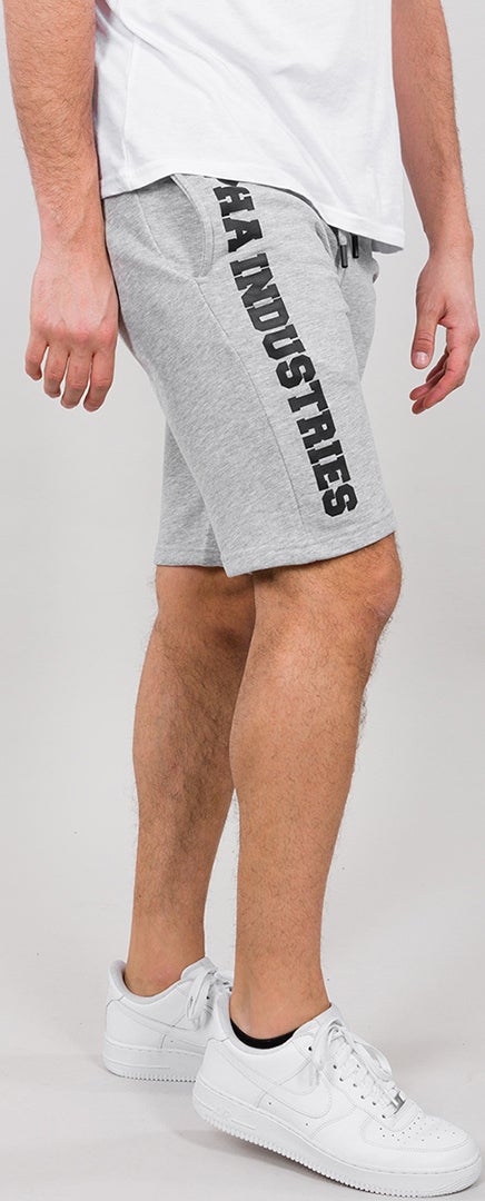 Alpha Industries Big Letters Shorts cinza L Figura 2