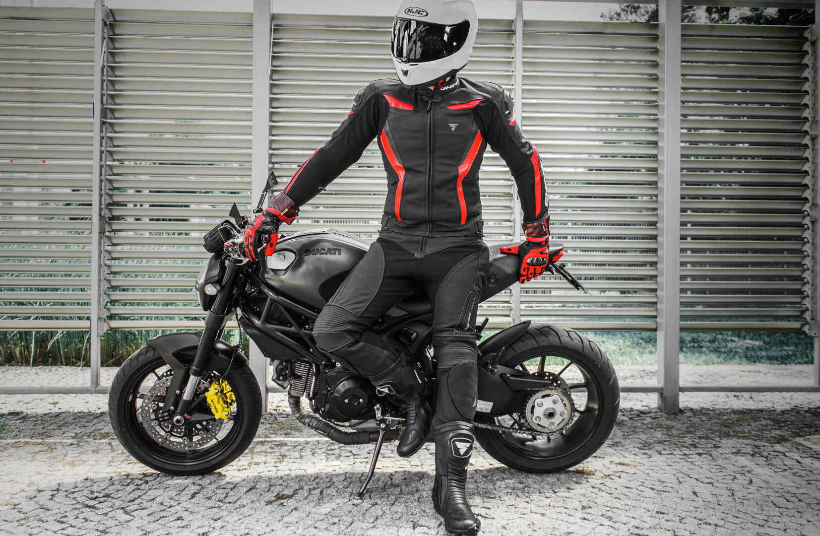 SHIMA Chase Motorrad Lederhose 48 Abbildung 4