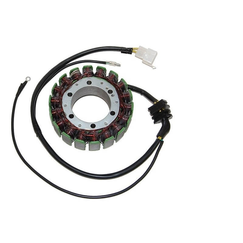 ElectroSport Stator ESG083 für Lichtmaschine Figura 1