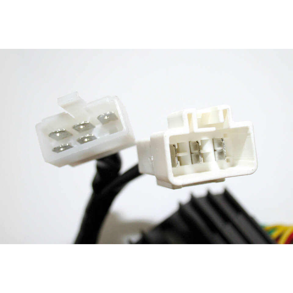 ElectroSport Laderegler ESR 438 Figur 2