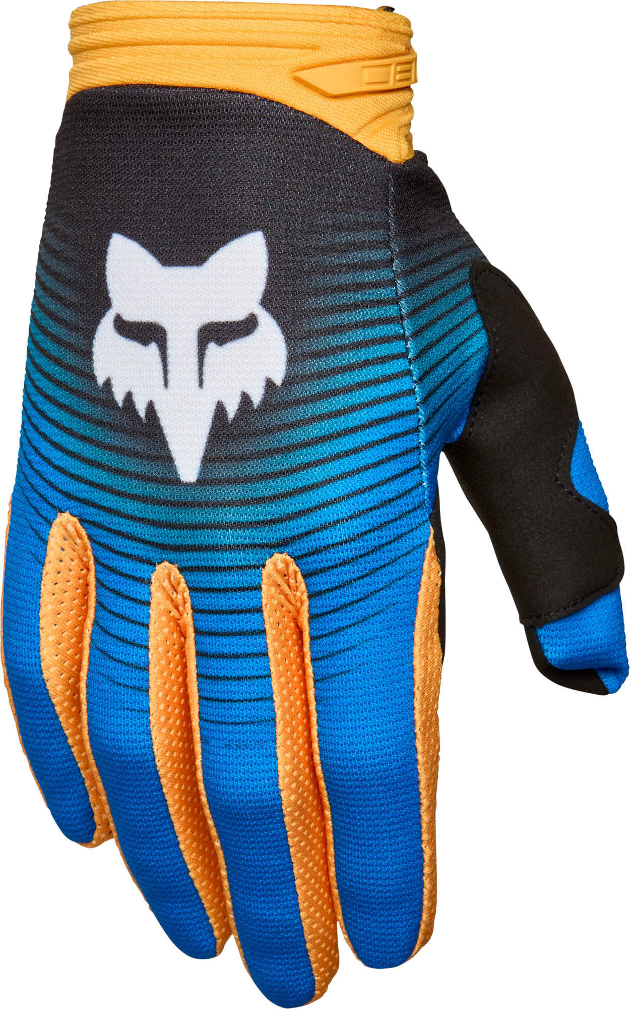blue/orange