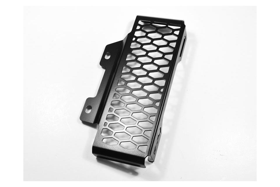 ZIEGER HARLEY-DAVIDSON XR 1200, 08-13 Figura 1
