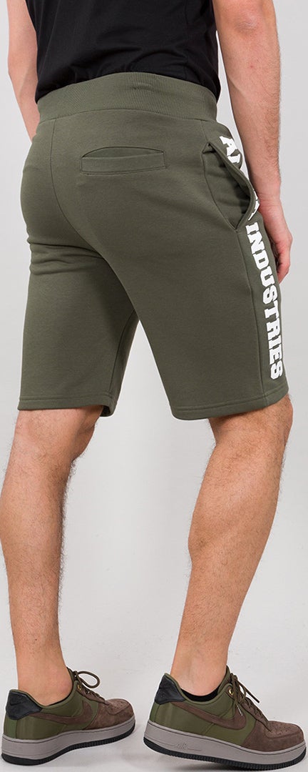 Alpha Industries Big Letters Shorts Vert XL Figure 1