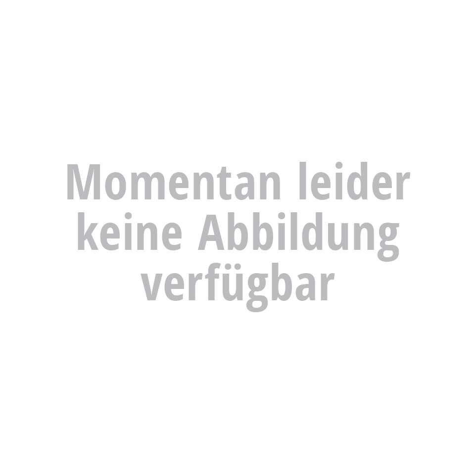 IXIL Auspuffschelle für HEXOVAL XTREM Endschalldämpfer Argint Figura 1 IXIL Auspuffschelle für HEXOVAL XTREM Endschalldämpfer Argint Figura 1