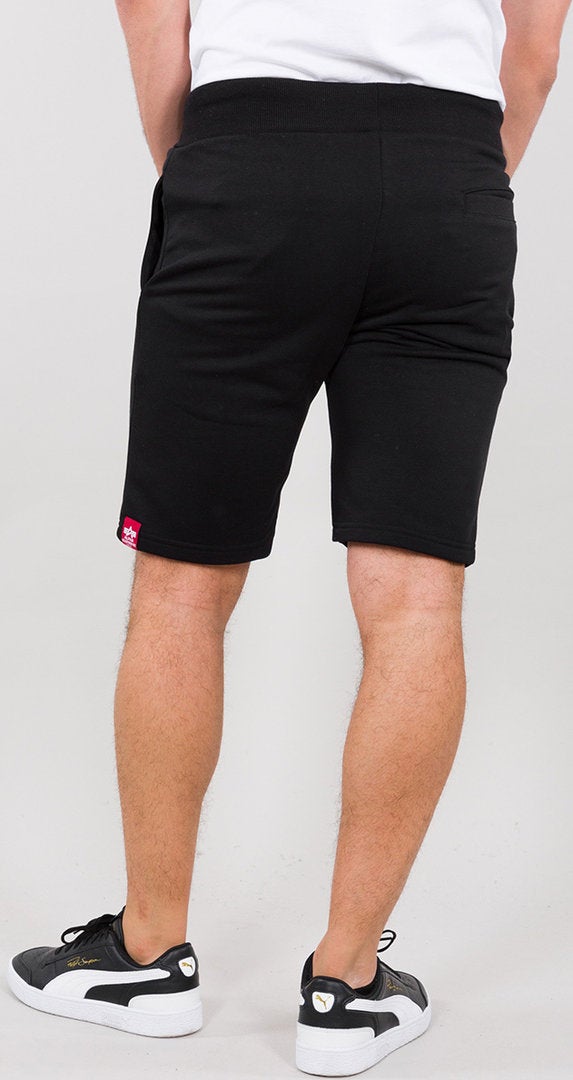 Alpha Industries Big Letters ショート パンツ 黒 M 図3