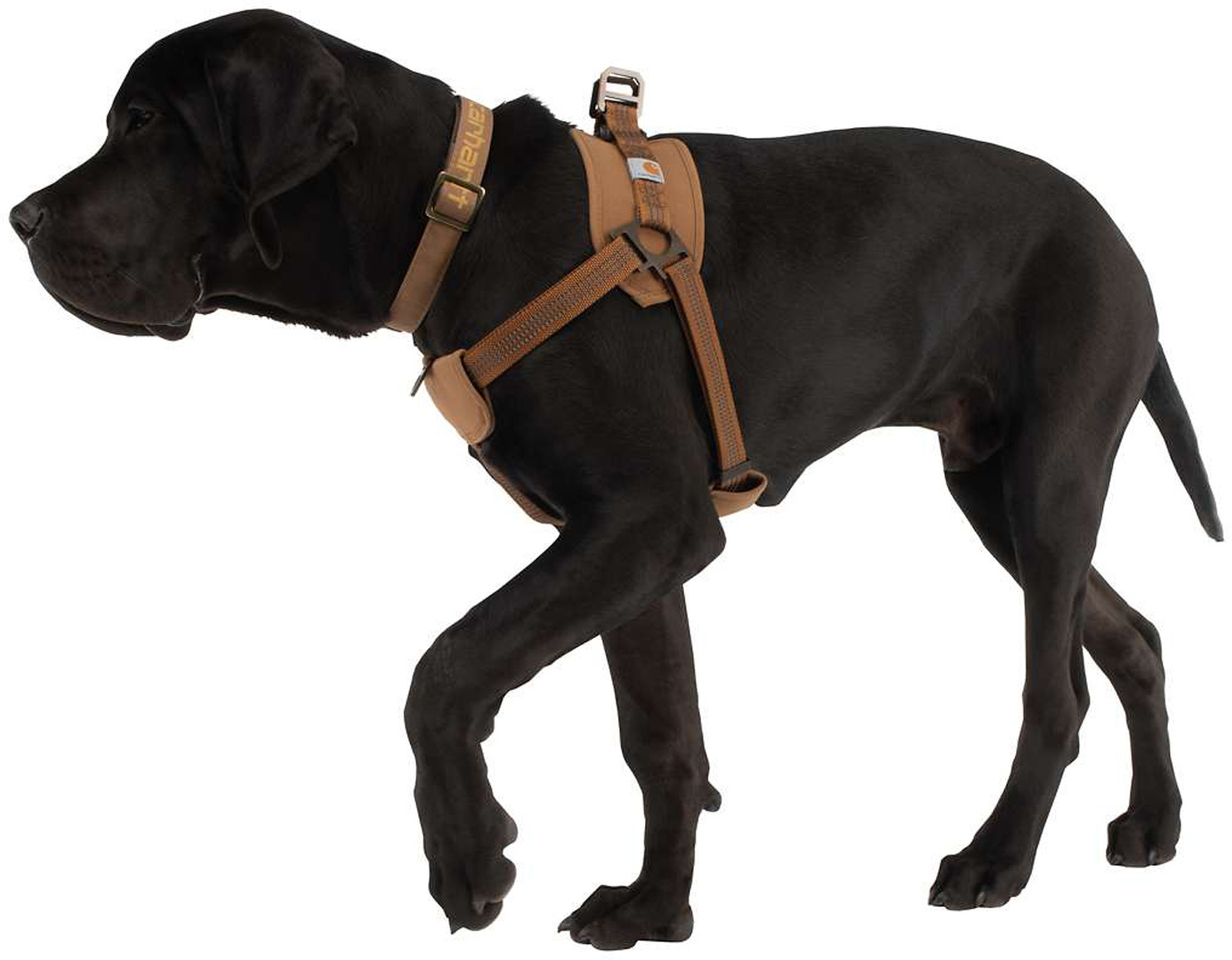 Carhartt Training Arreios de cachorro S Figura 3
