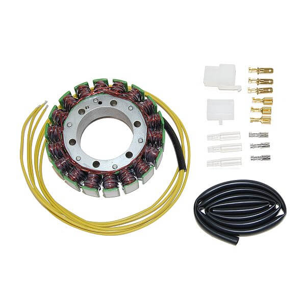 ElectroSport Stator ESG140 für Lichtmaschine Figura 1