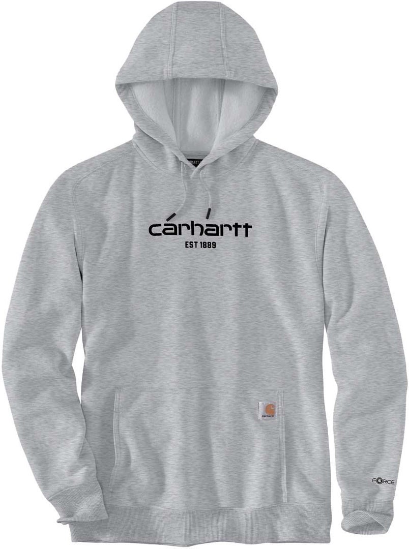Carhartt Lightweight Logo Graphic Capuche Gris clair XL Figure 1