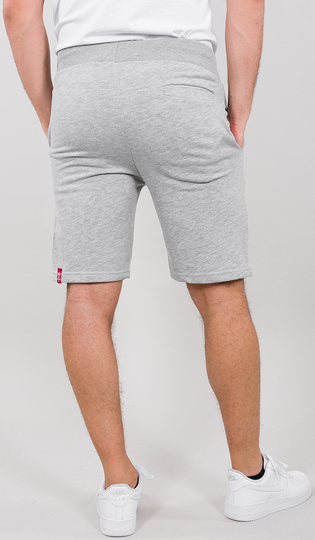 Alpha Industries Big Letters Shorts cinza L Figura 3