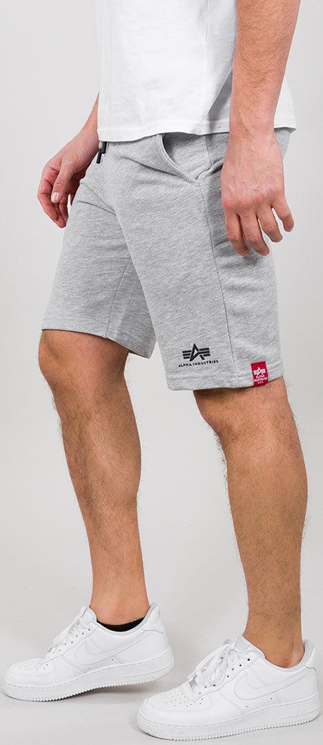 Alpha Industries Big Letters Pantalones cortos gris XL Figura 1
