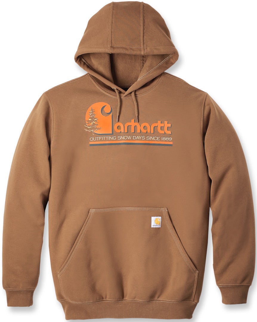 Carhartt Loose Fit Midweight Graphic Hooded Sweatshirt brown/orange M Figure 1