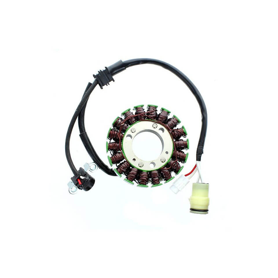 ElectroSport Stator ESG109 für Lichtmaschine Figura 1