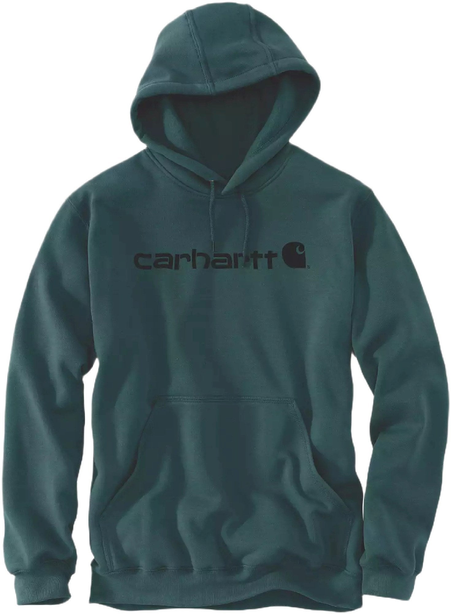 Carhartt Signature Logo Midweight Capuche noir/vert XL Figure 1