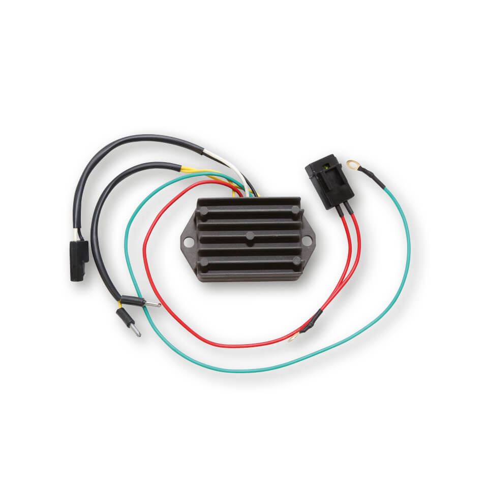 ElectroSport Laderegler ESR 510 Figura 1
