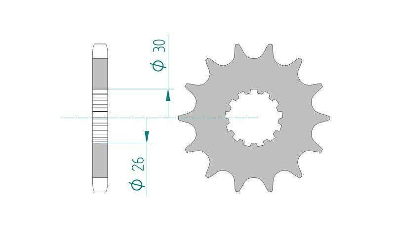 AFAM Standard-Stahlkettenrad 88800 - 530 Abbildung 1