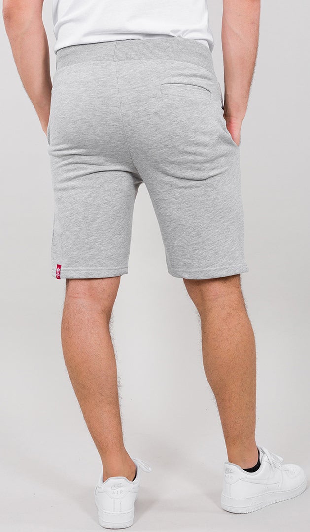 Alpha Industries Big Letters Šortky šedá XXL Obrázek 3