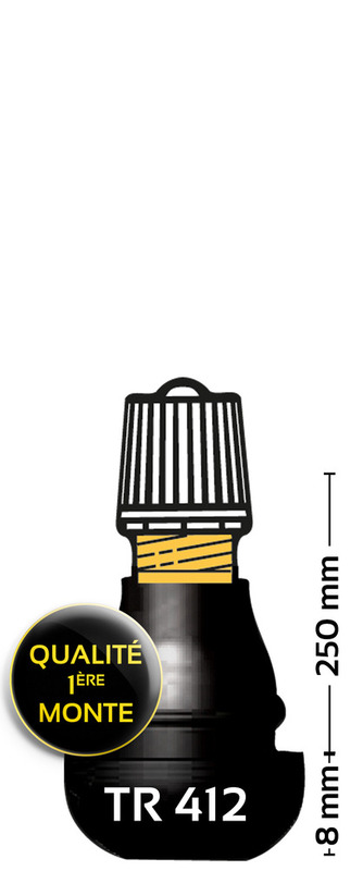 Bihr Valves droites caoutchoutées TR412 - 100 pièces Figure 1