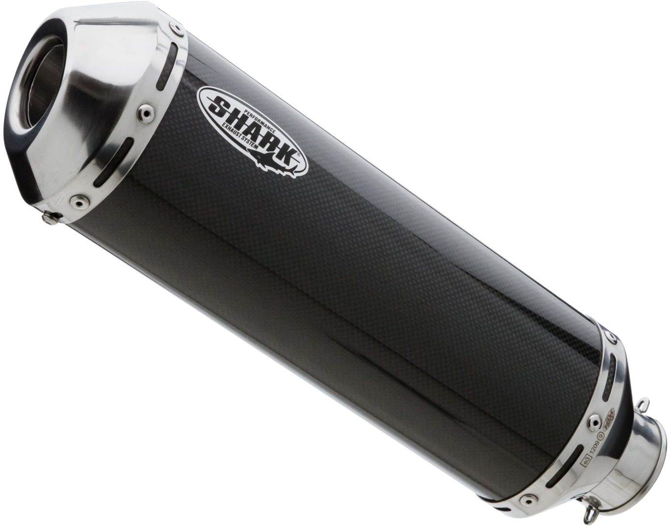 DSX-1 Slip-On Carbon Amortizor spate Figura 1