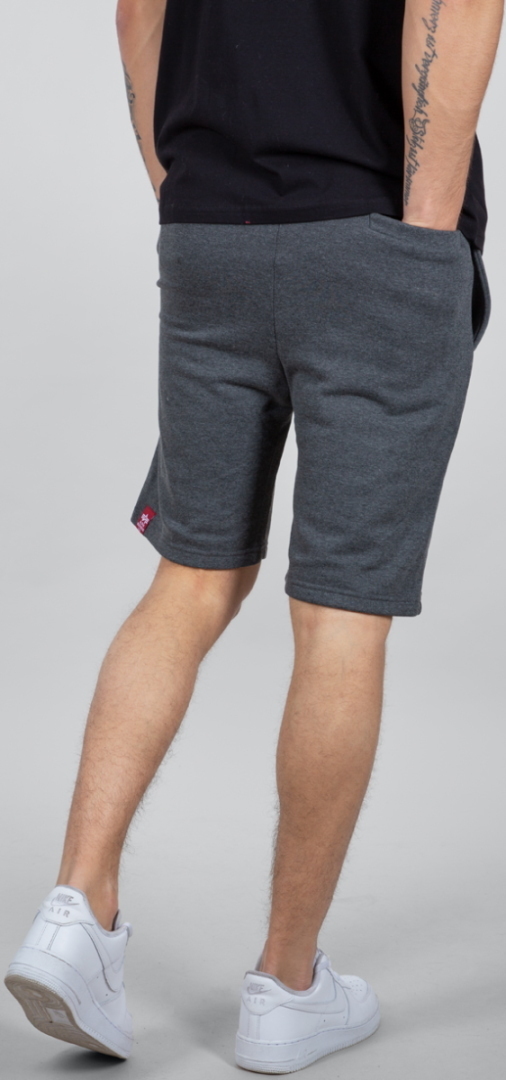 Alpha Industries Big Letters Šortky tmavě šedá 3XL Obrázek 3