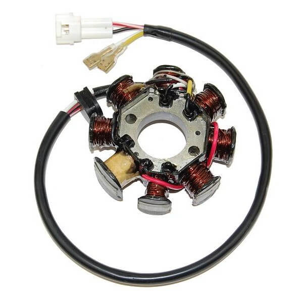ElectroSport Stator ESG146 für Lichtmaschine Figura 1