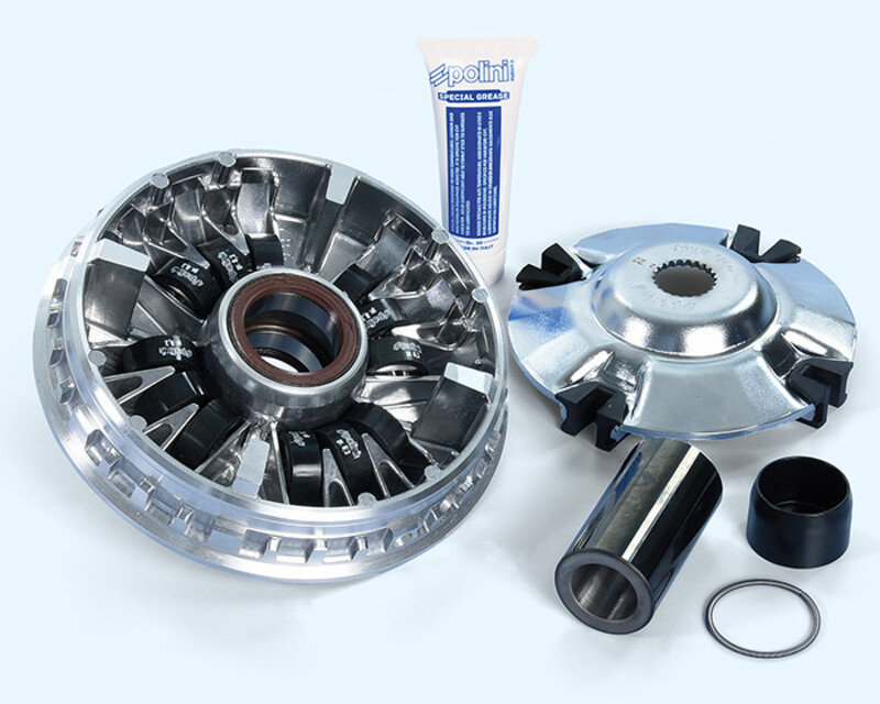 POLINI Variator Figur 1