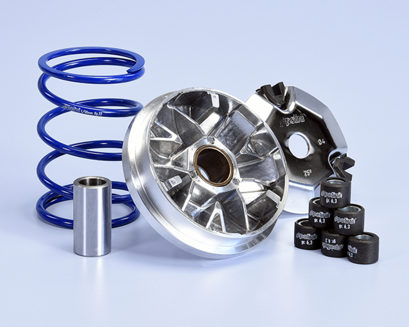 POLINI Hi-Speed Variator Figure 2