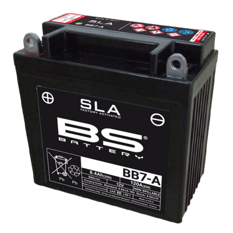 BS Battery Figura 2