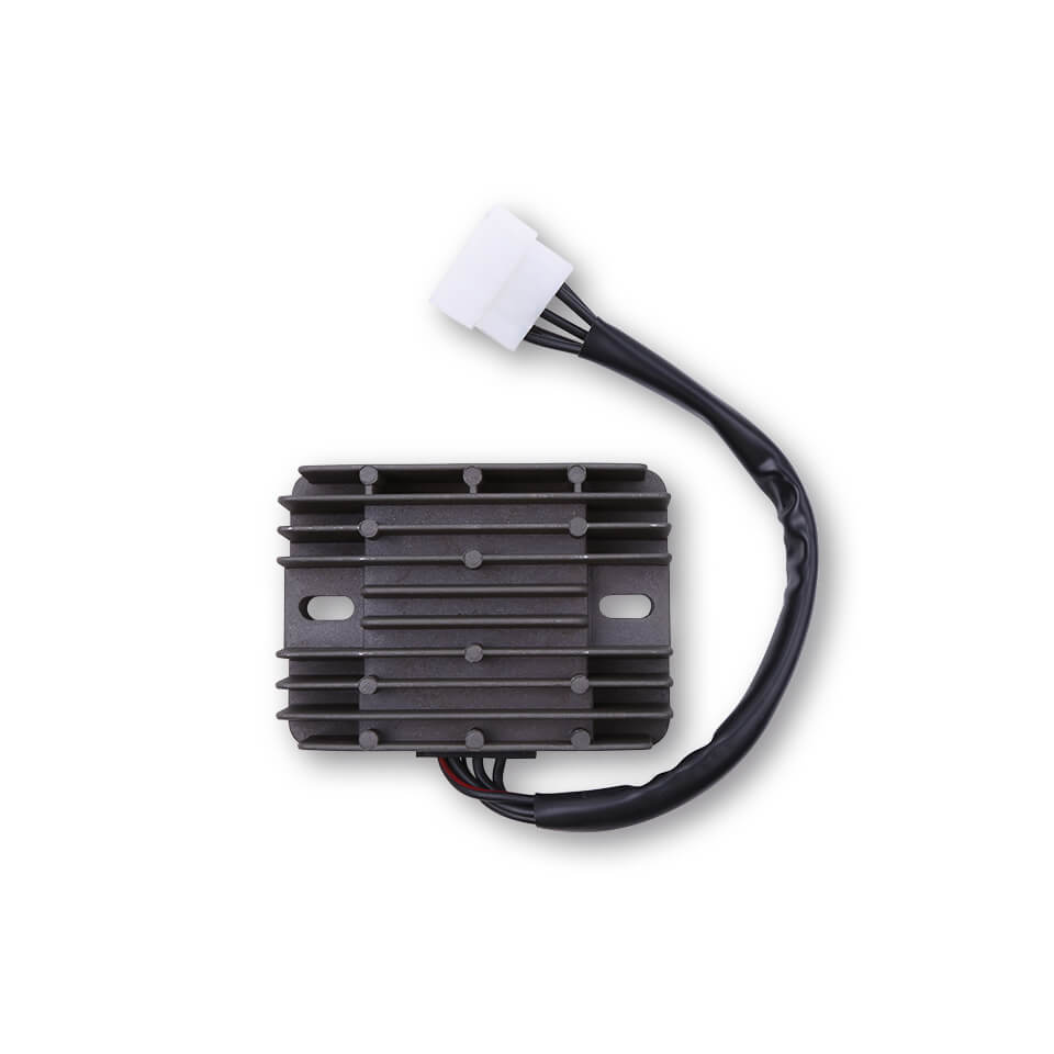 ElectroSport Laderegler ESR 100 Figura 1