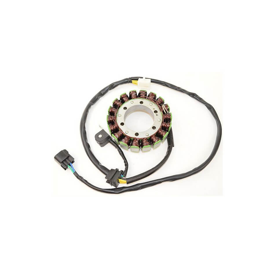 ElectroSport Stator ESG309 für Lichtmaschine Figura 1